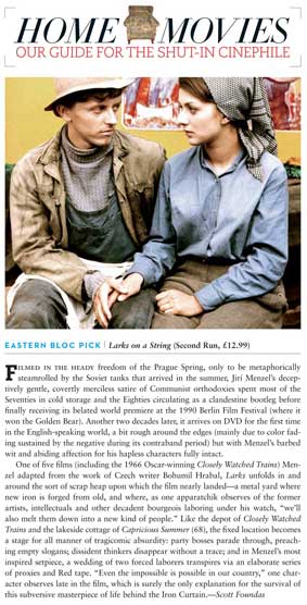 Film Comment