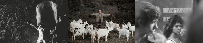 Blonde Stills